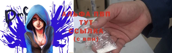 прущие крисы Богданович