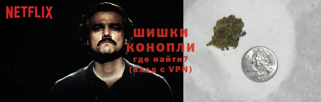 прущие крисы Богданович