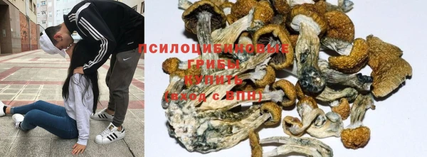 прущие крисы Богородск