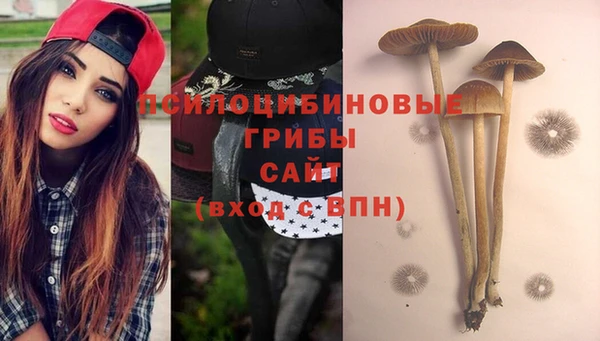 прущие крисы Богданович