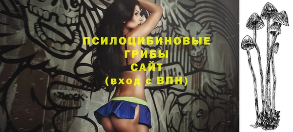 прущие крисы Богородск