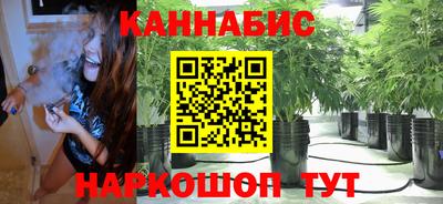 гидропоника Гусев