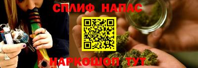 гидропоника Гусев