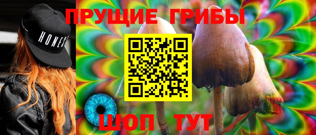 Горно-Алтайск  Псилоцибиновые грибы GOLDEN TEACHER  Вход с VPN  Галлюциногенные грибы MAGIC MUSHROOMS 